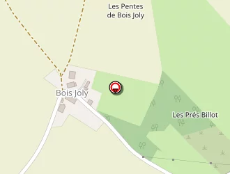 Carte de Remond Roland à Alligny-cosne