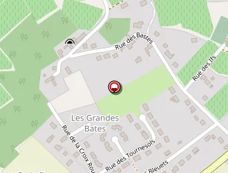 Carte de Champion Georges à Chançay