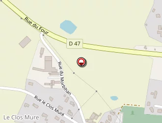 Carte de Mérillon Caroline à Herbignac