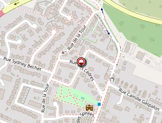 Carte de Speed Market à Trélazé