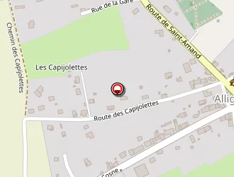 Carte de Thomas Guy à Alligny-cosne