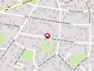 Carte de Gomez Pascal à Souesmes