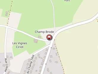 Carte de Morizet Fabrice à Alligny-cosne