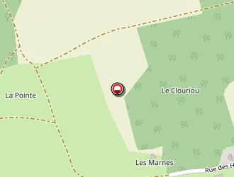 Carte de Barault Yolande à Léré