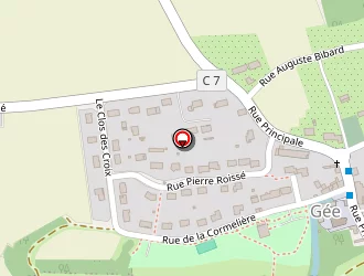 Carte de Société Boule De Fort à Gée