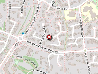 Carte de Alicat & Dog à Angers