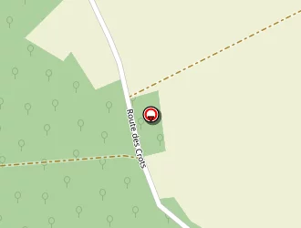 Carte de Capgras Danielle à Saint-loup