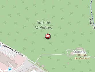 Carte de Amg Auto à Angers