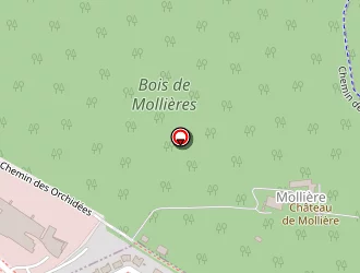 Carte de Animaux49 à Angers