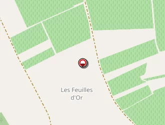 Carte de Rustique (gaec) à Limeray