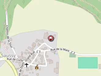 Carte de Dumont Raymond à Saussy