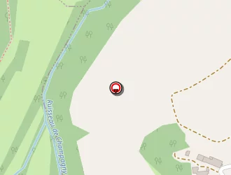 Carte de Cuenin Daniel à Vaux-saules