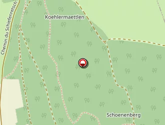 Carte de Pss Holding à Ligsdorf