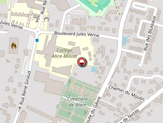 Carte de Lelievre Sylvia à Blain