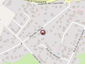 Carte de Bodineau Brigitte à Férel