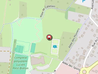 Carte de Complexe Sportif Petit Breton à Pénestin