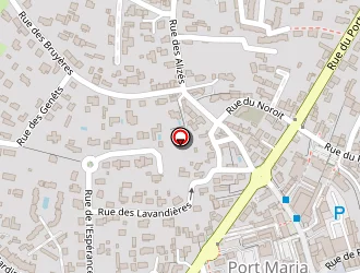 Carte de Ollivier Romain à Quiberon