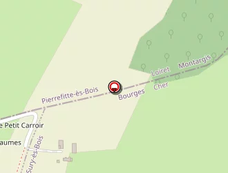 Carte de Gravelet (earl) à Sury-ès-bois