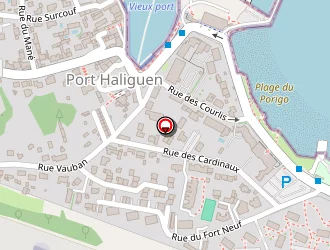 Carte de Skate Park à Quiberon