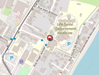 Carte de Kammer Alexander à Angers