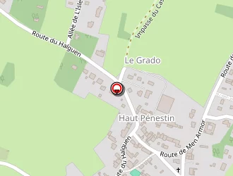 Carte de Laisné Patrick à Pénestin