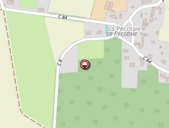 Carte de Pichot Michel à Saffré