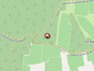 Carte de Levaux à Montils (les)