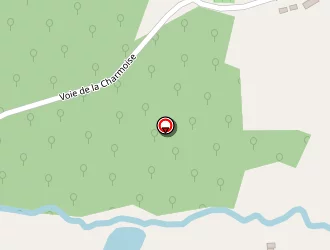 Carte de Doudard Patrick à Cour-cheverny