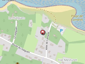 Carte de Pezet Patrick à Pénestin