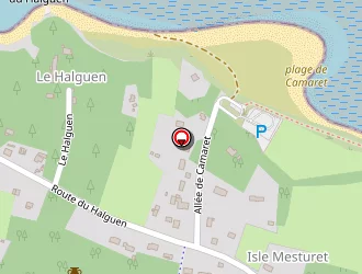 Carte de Patrick Pezet à Pénestin