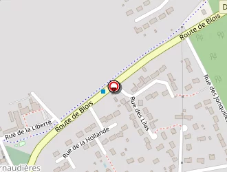 Carte de Chambrun Philippe à Candé-sur-beuvron