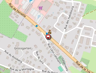 Carte de Taxi Albin à Ferrette