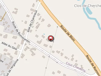 Carte de Brinet Caroline à Cheverny