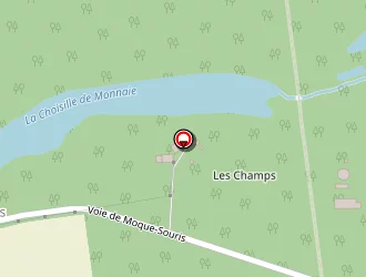 Carte de Delta S.i à Monnaie