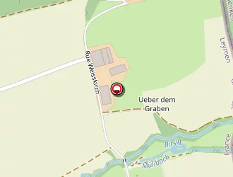 Carte de Wurgler Paul à Leymen