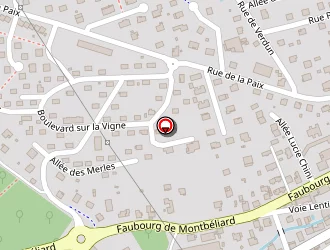 Carte de Rein Gérard à Delle