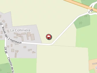 Carte de Landreau Agnès à Sonzay