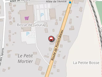 Carte de Amarante à Saint-gildas-des-bois