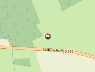 Carte de Micova Eric à Sonzay