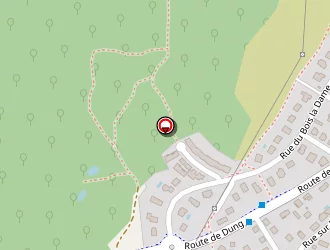 Carte de Ouley Loic à Sainte-suzanne