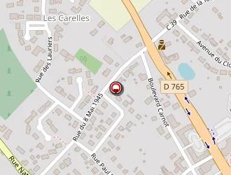 Carte de Brinet Caroline à Cour-cheverny