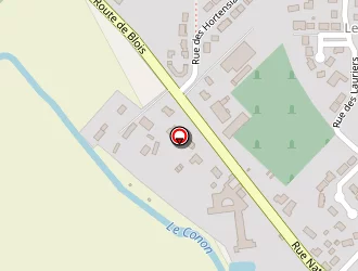 Carte de Billot Philippe à Cour-cheverny