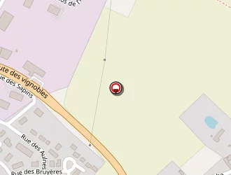 Carte de Dubuc Bruno à Cour-cheverny