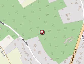 Carte de Scierie Gaudelas à Chailles