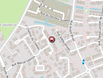 Carte de Thyreau Jérémy à Saint-sylvain-d'anjou