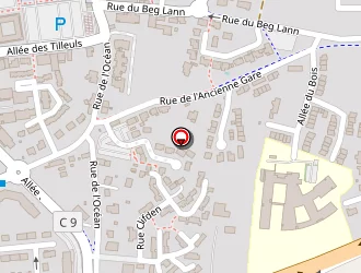 Carte de Lecland Eric à Sarzeau