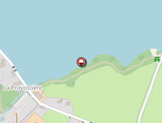 Carte de Cottineau Luc à Riaillé