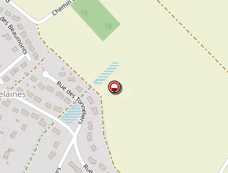 Carte de Bedu Marc à Chouzy-sur-cisse