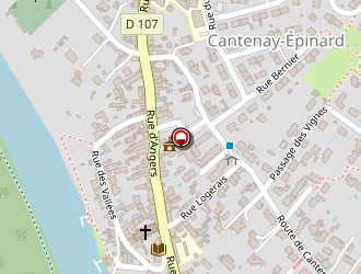 Carte de Bejeau Pascal à Cantenay-épinard