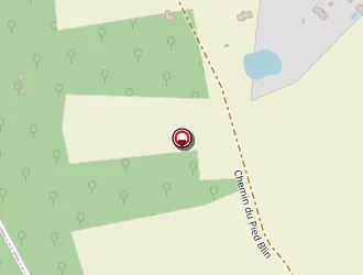 Carte de Jdm à Saint-viâtre